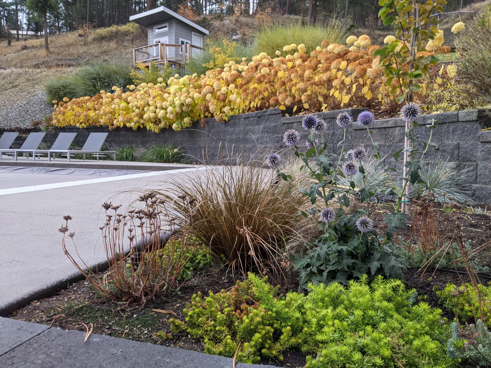 PXL_20211020_175825212