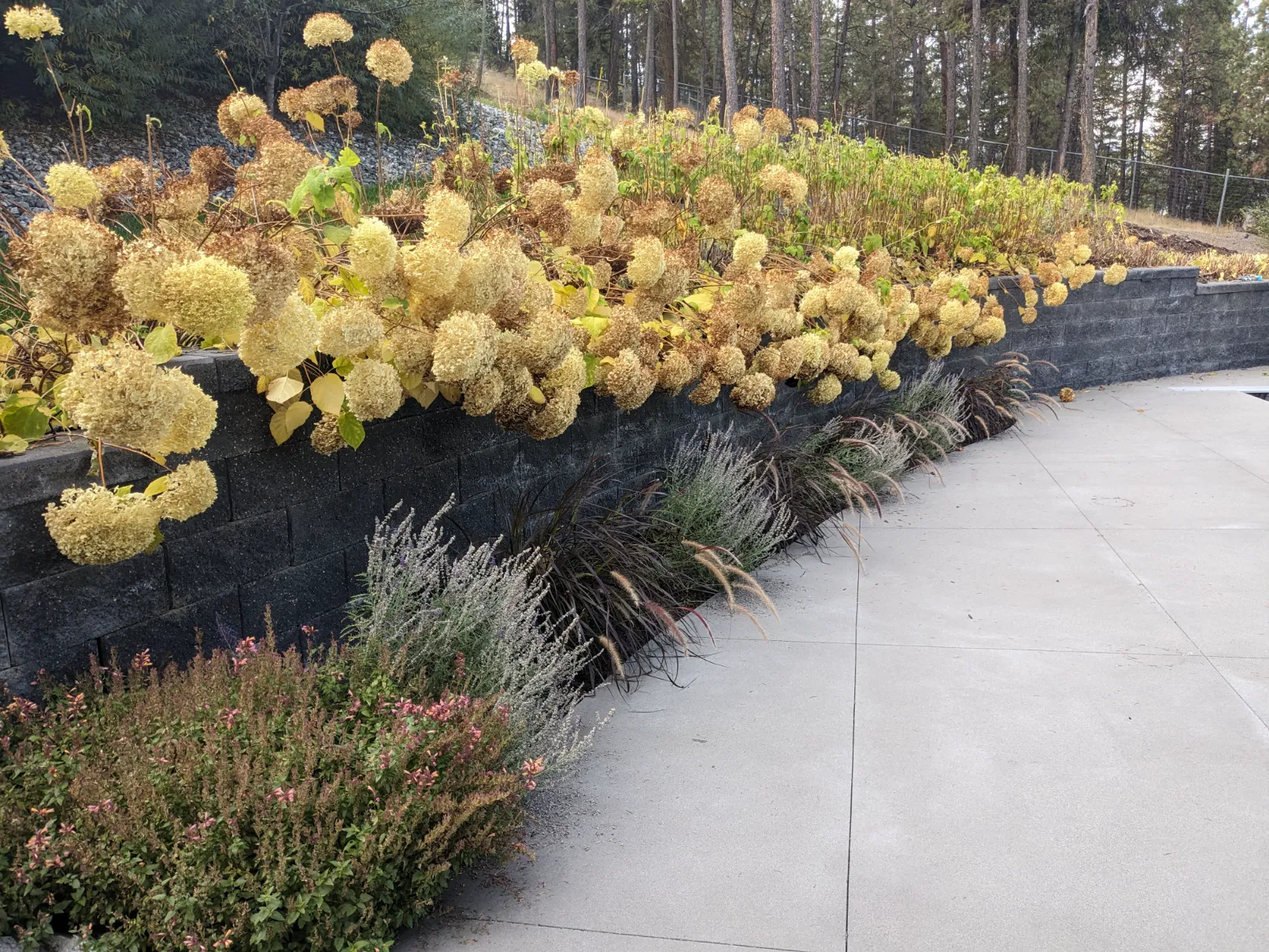 PXL_20231023_173713348