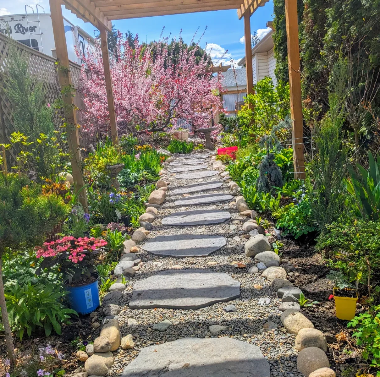 PXL_20240501_191704857-EFFECTS