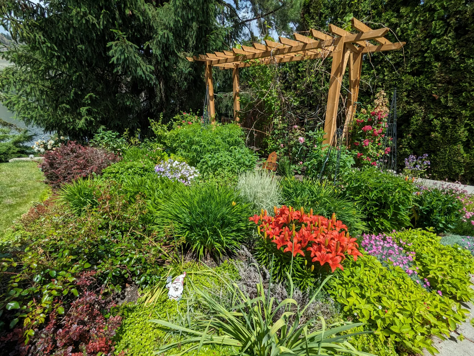 PXL_20240617_190832243