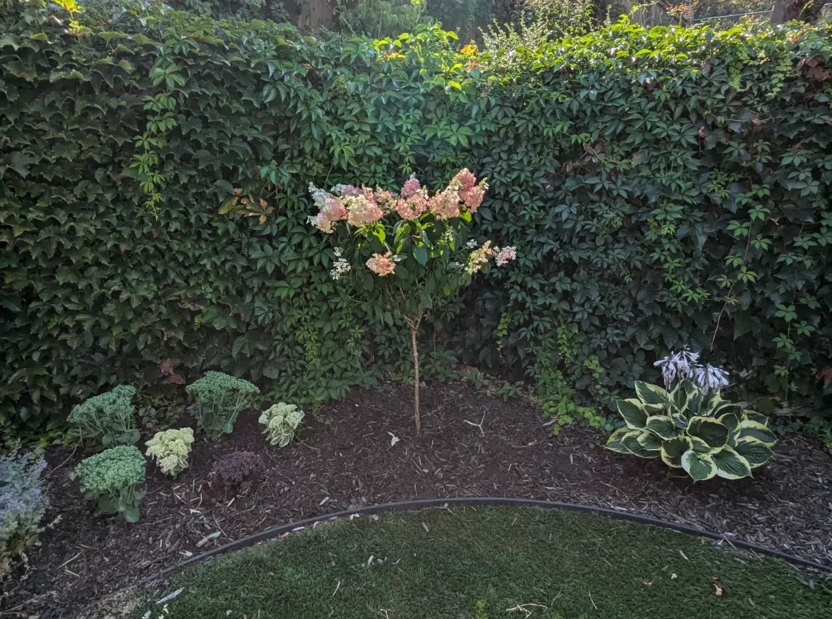 The Okanagan Valley Landscape Co photo 4