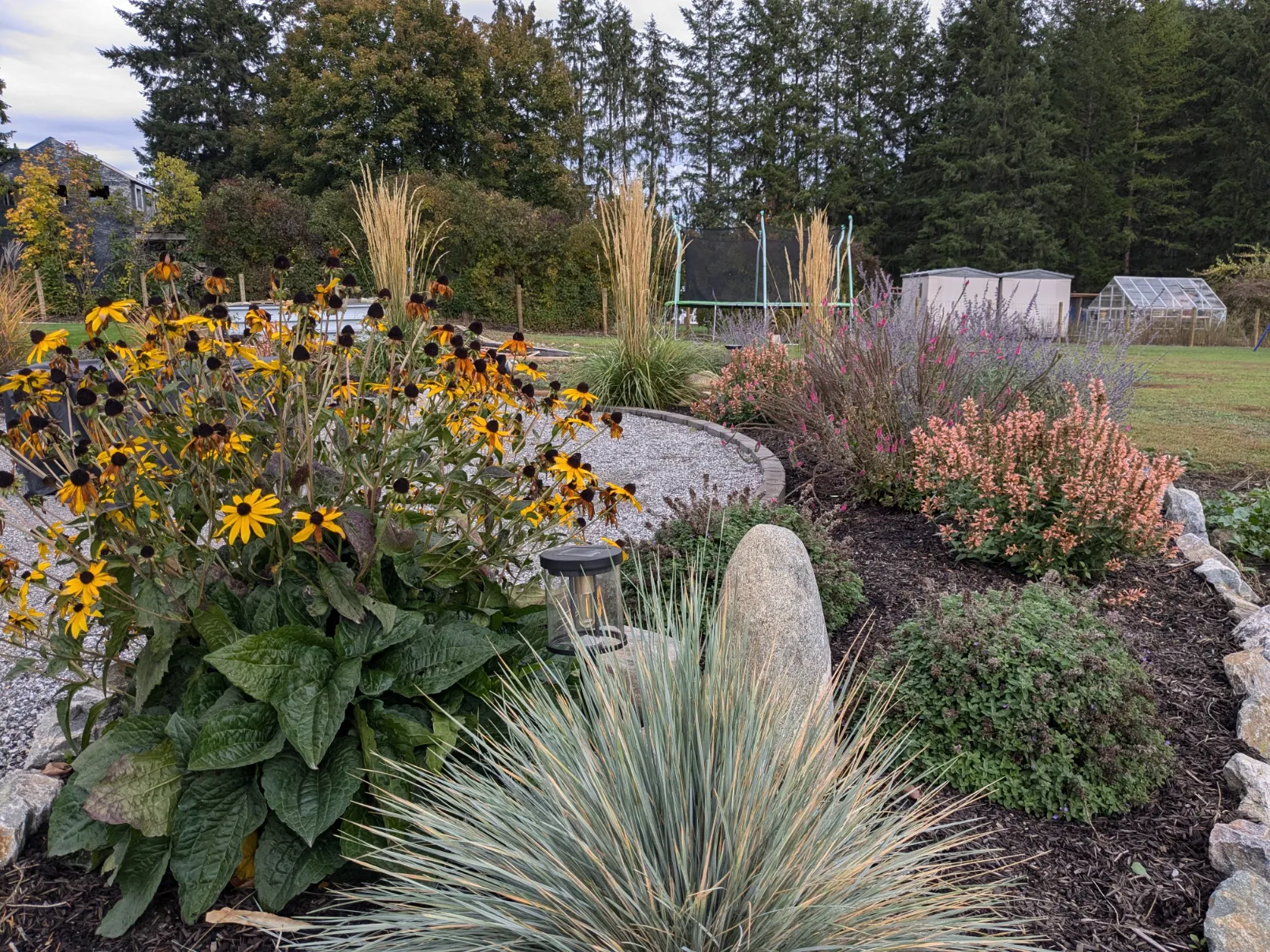 PXL_20241009_211040641