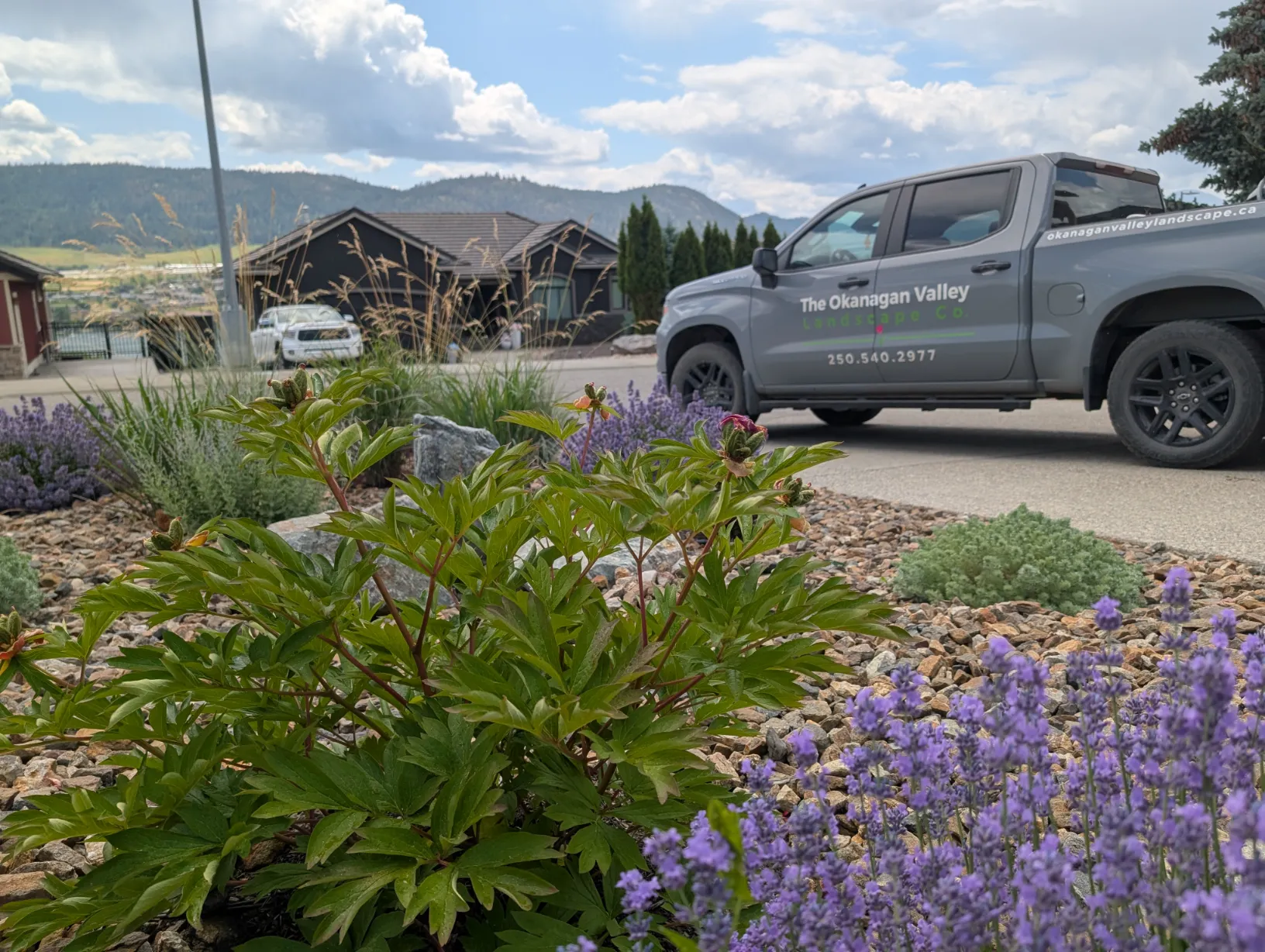 PXL_20250613_200756586.MP