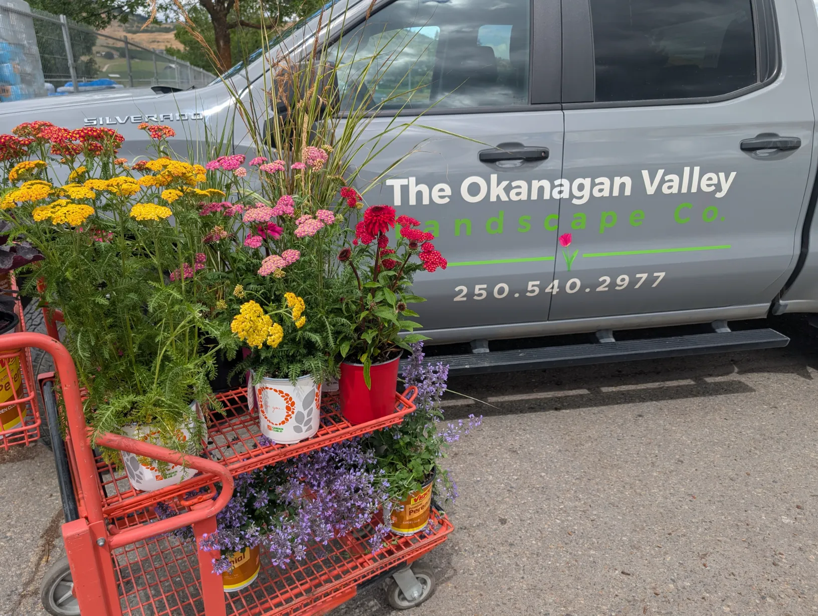 PXL_20250710_191237047