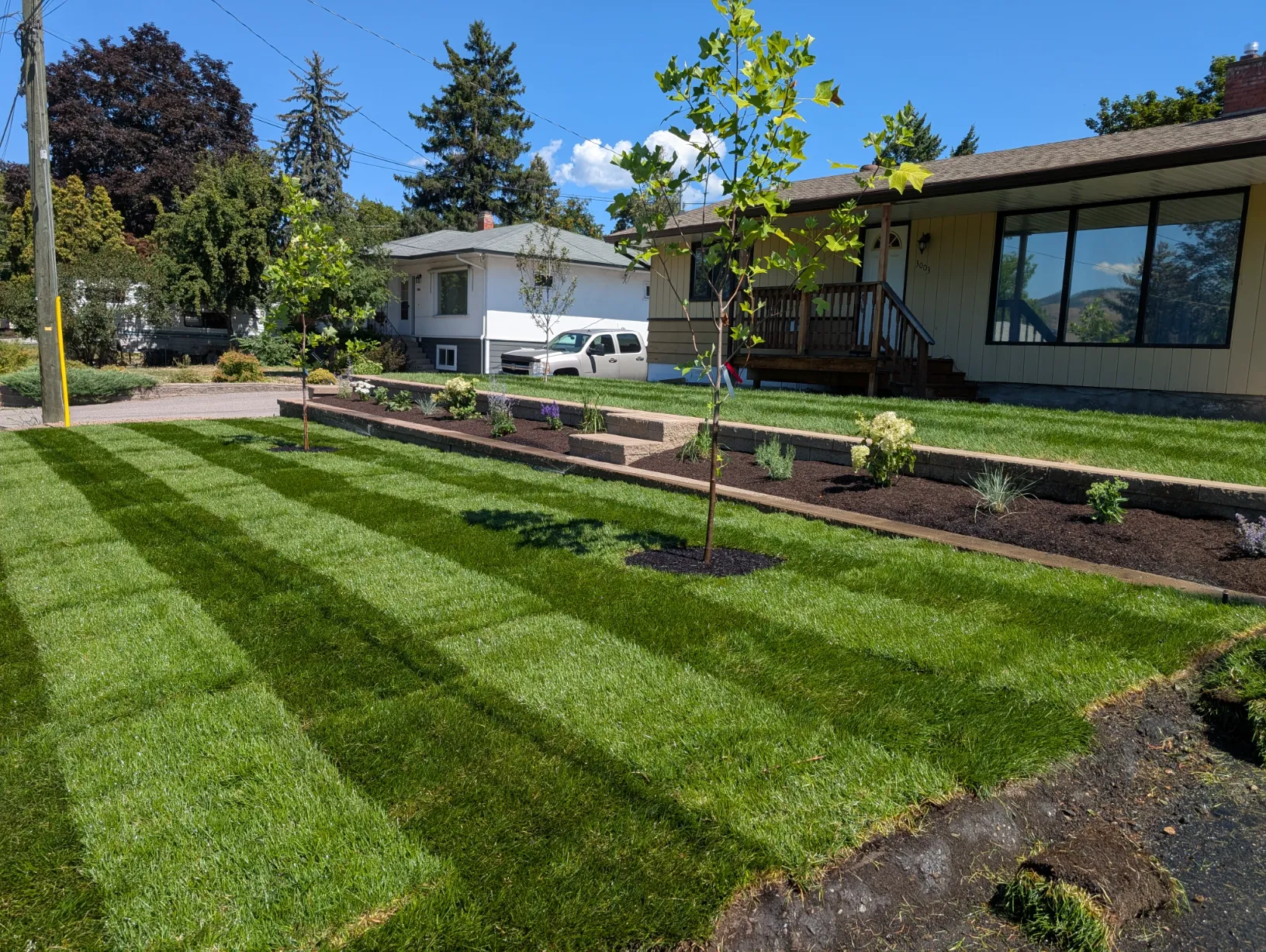 PXL_20250729_193830475