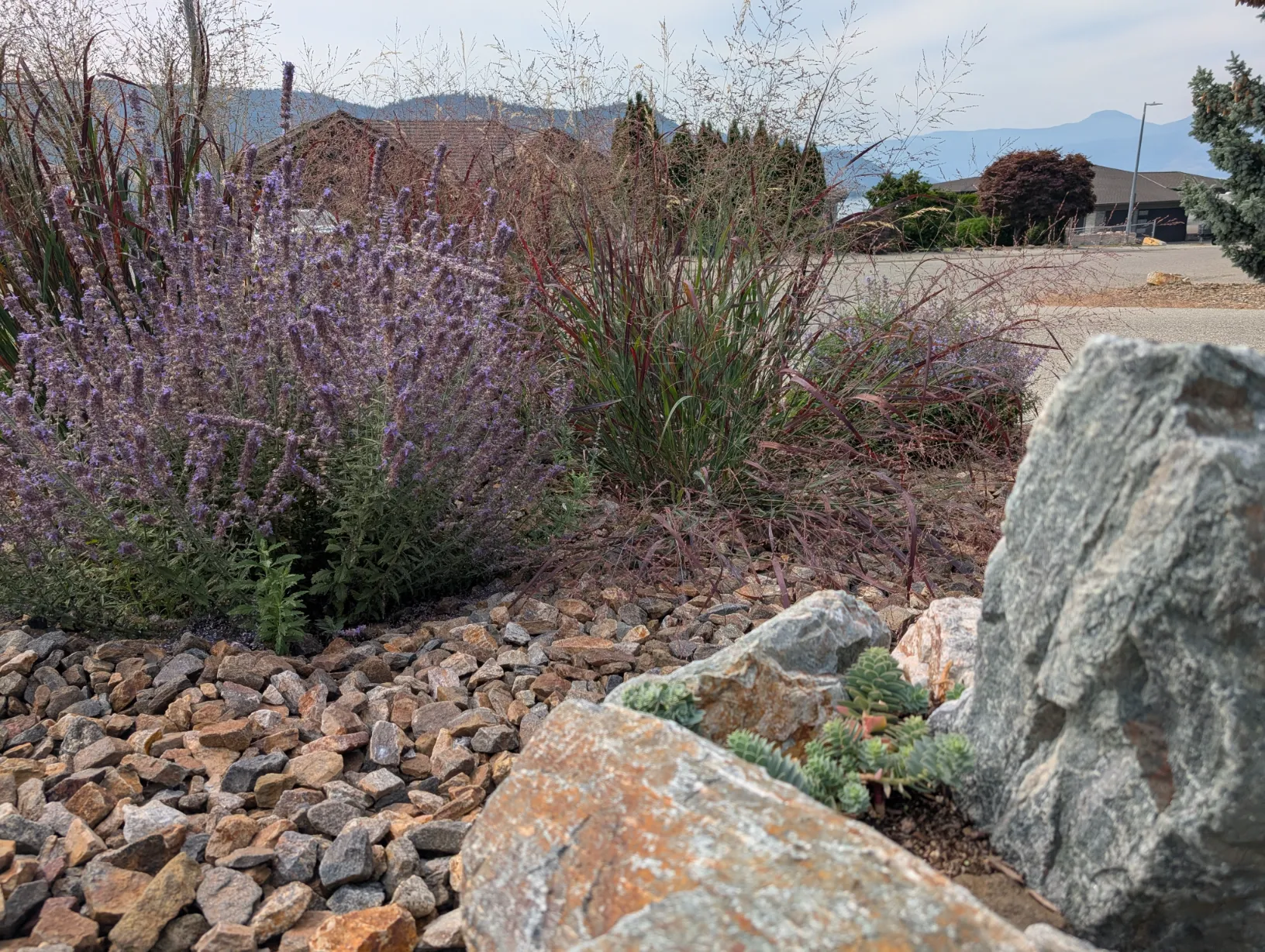 PXL_20250827_181710519