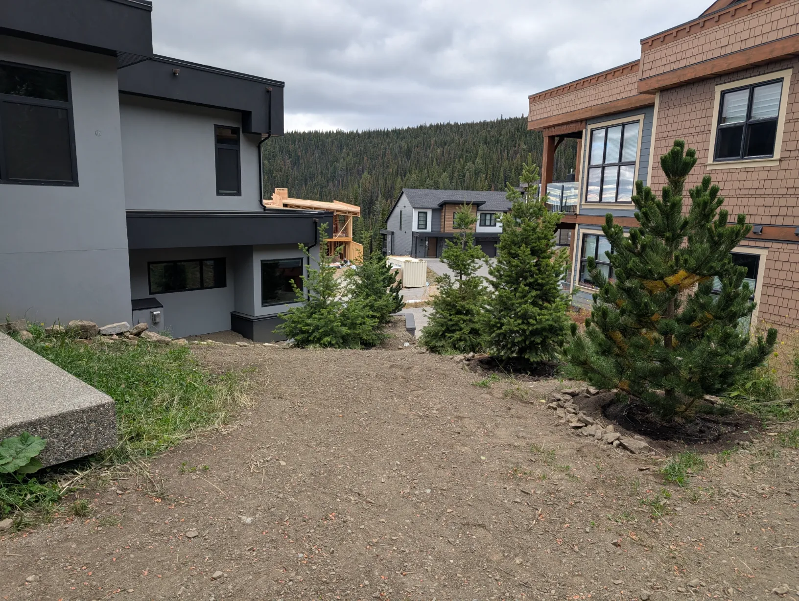 PXL_20250926_214625963