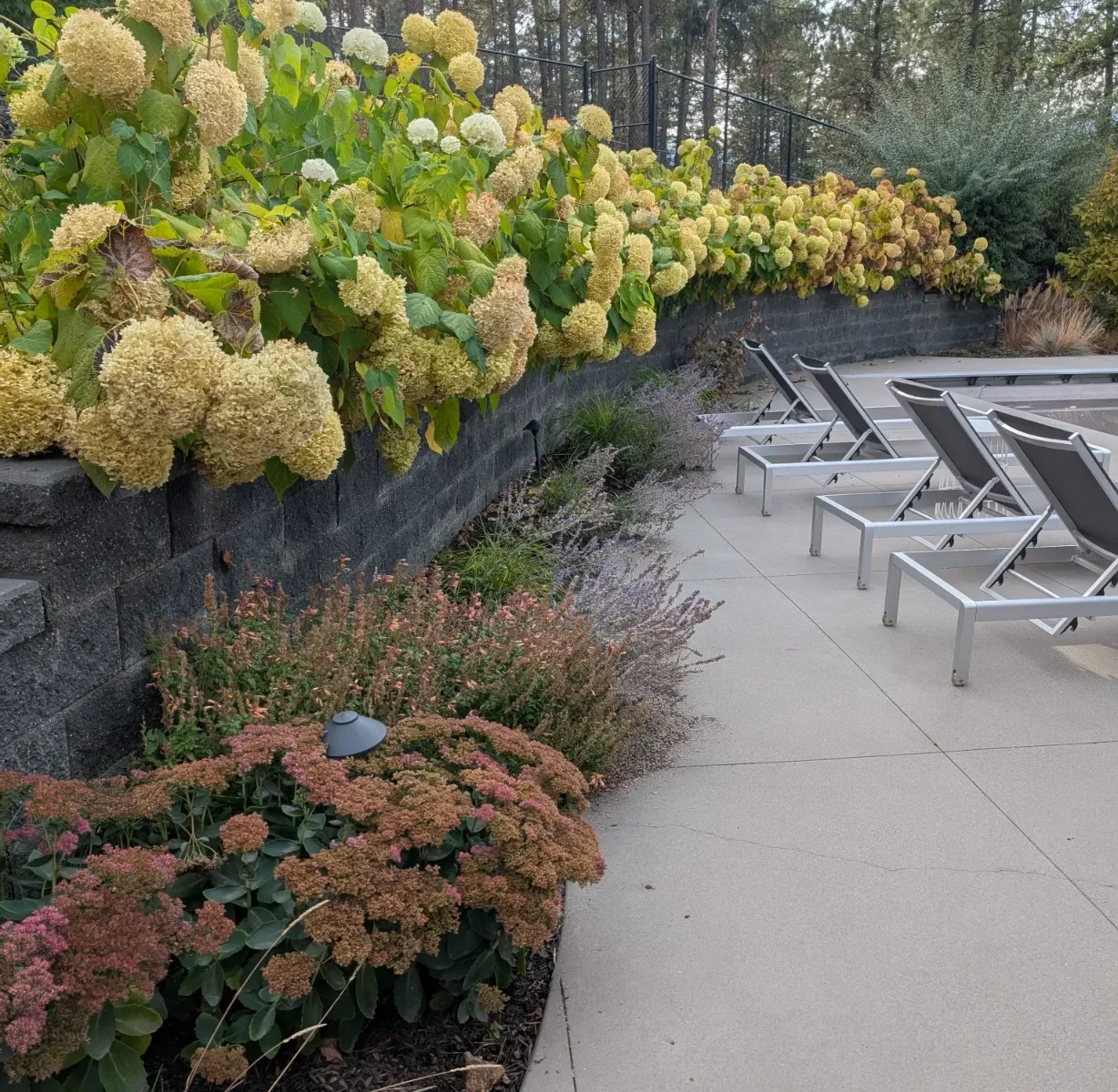 PXL_20251022_221909709